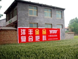 巩义如何让墙体广告展现最大化效果